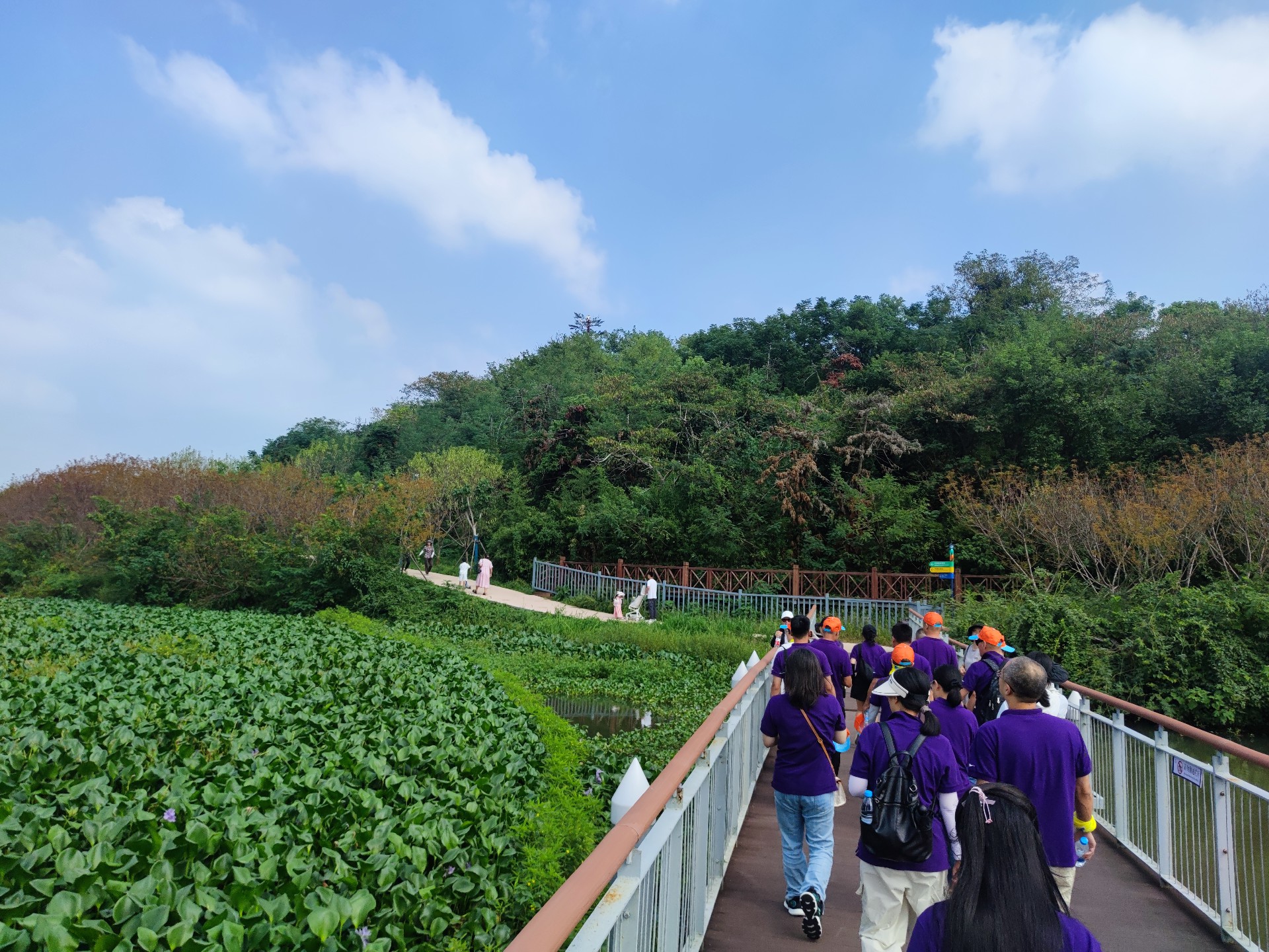 IMG_20240928_132139.jpg