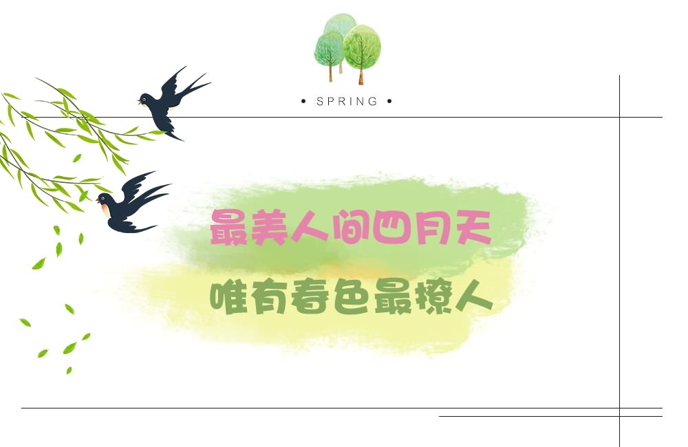 春天野炊